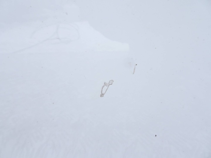 фото №6, Двері ліві зад opel corsa e z40r