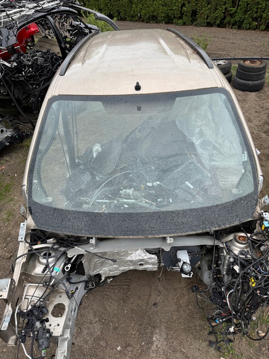 фото №1, Dacia lodgy крыша комплектный потолок рейлинги