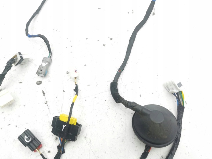 фото №6, Hyundai santa fe жгут дверь задних 2013 916002w880
