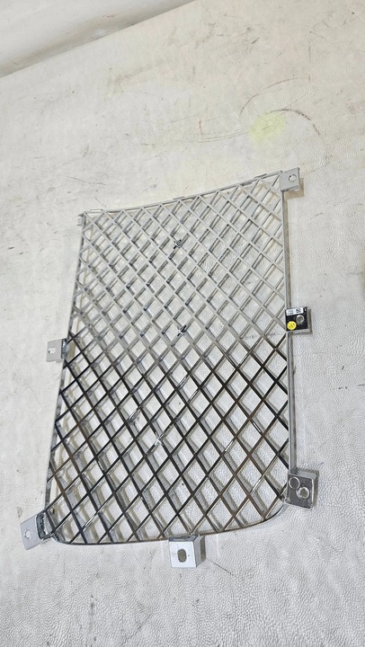 фото №9, Решітка радіатора решітка радіатора решітка ліва bentley continental flying spur 3se853683 нова