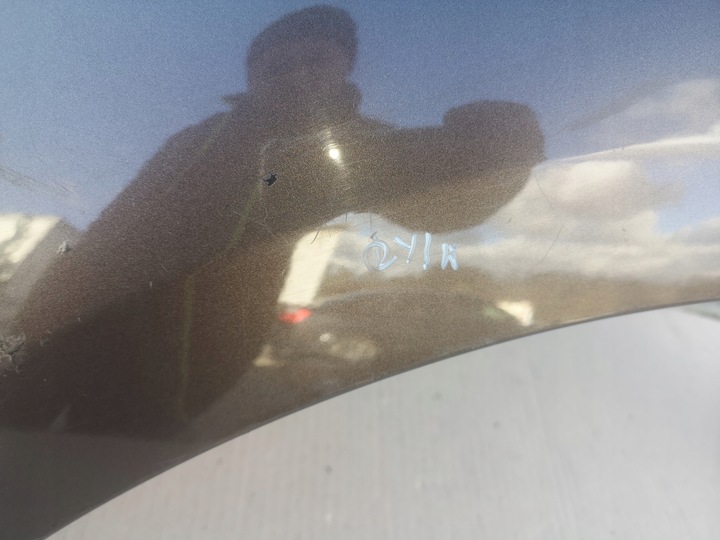 фото №8, Крило лівий перед renault grand scenic iii колір tecnb