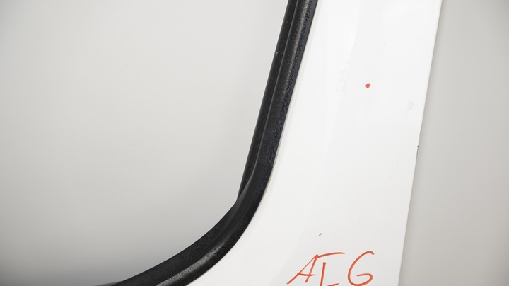 фото №7, Двері лівий перед peugeot partner ii 08-13r ewp