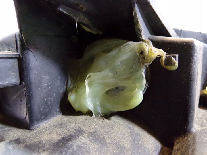 фото №10, Лампа передняя перед левая citroen c8 1