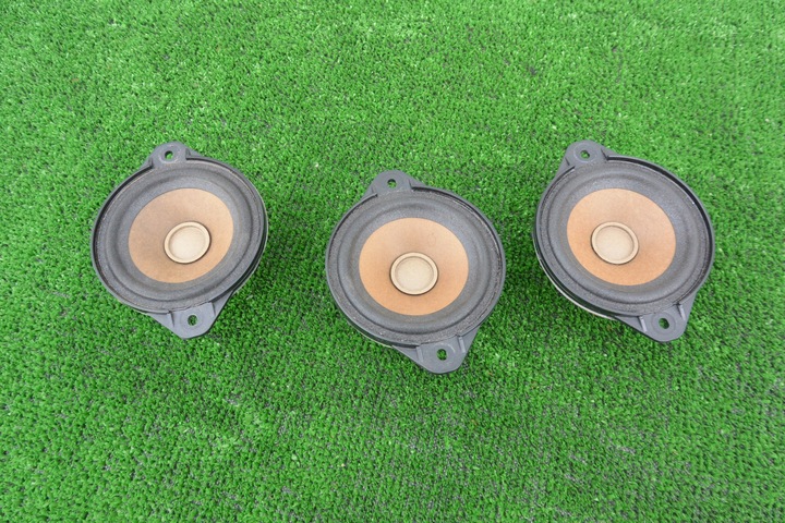 фото №1, Динамік tesla модель s 12-16