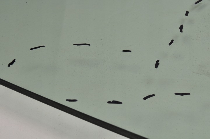 фото №12, Peugeot 3008 ii скло права передня подвійна 24r