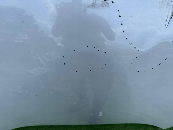 фото №10, Капот renault kadjar 15-22r 651229810r