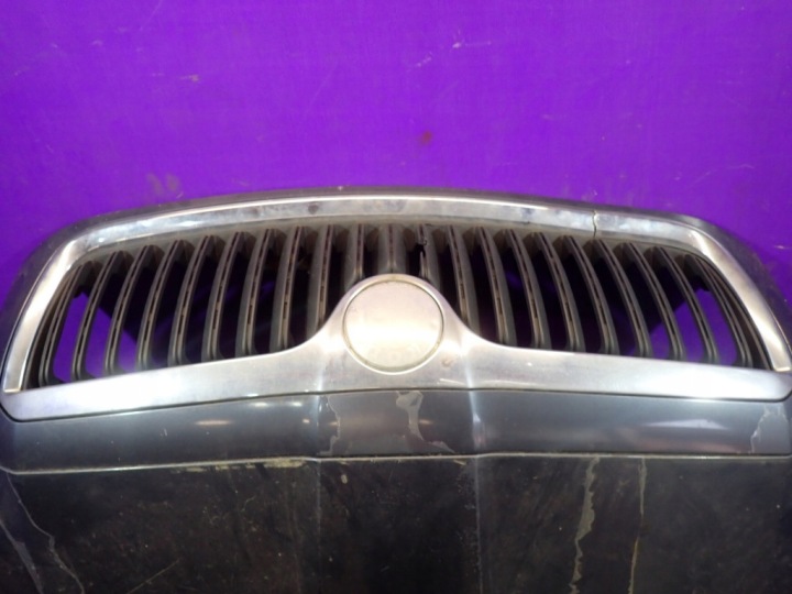 фото №5, Skoda superb i рестайлинг 06-08 капот решётка 9153