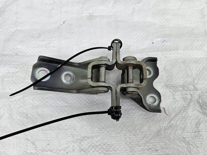 фото №1, Петлі петля лівий перед kia rio iv 17-22 1.0 tgdi