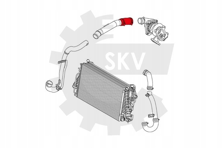 фото №10, Skv 24skv860