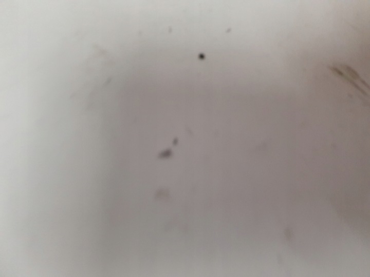 фото №9, Балка бампера передньої перед mazda rx-8