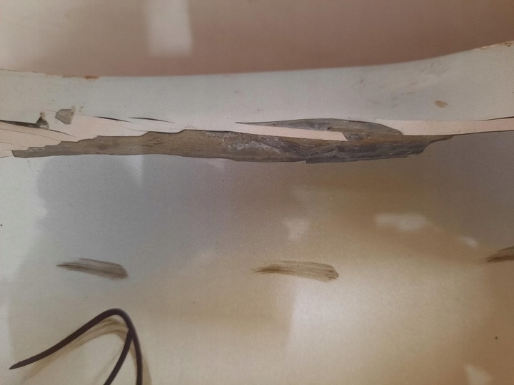 фото №5, Skoda octavia 4 iv 19- капот передняя перед