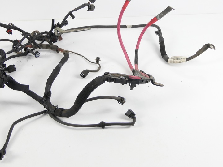 фото №9, Джгут установка електричний двигуна renault megane iii 3 09-11r. 1.9 dci