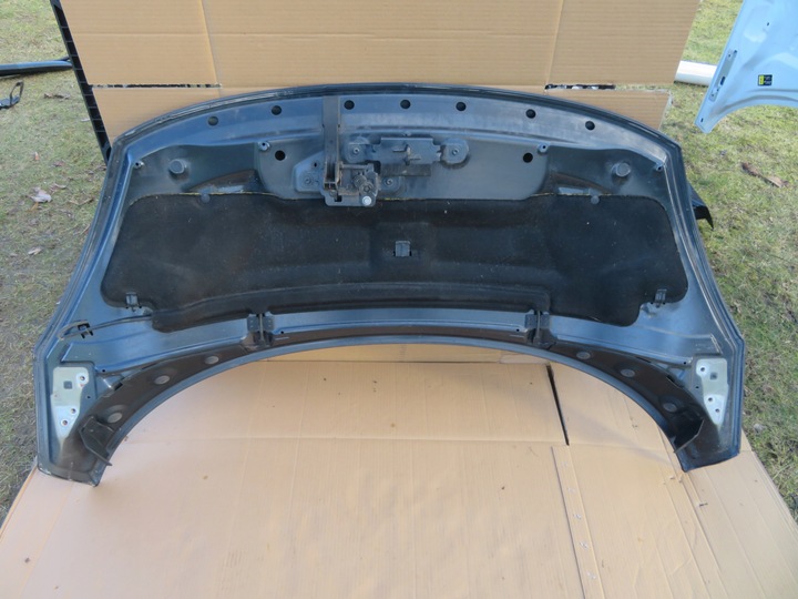 фото №11, Капот двигуна renault scenic iii 11r