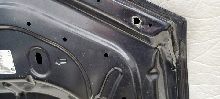 фото №3, Ford ranger raptor 22- капот