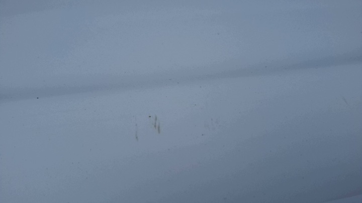фото №6, Кришка задня зад комплектна citroen c3 ii 10/16 код ewp