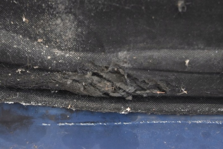 фото №16, Капот кришка двигуна синя dodge magnum chrysler 300c 03-08