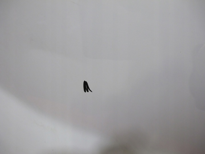 фото №7, Trafic ii vivaro дверь перед левая белый 01-14