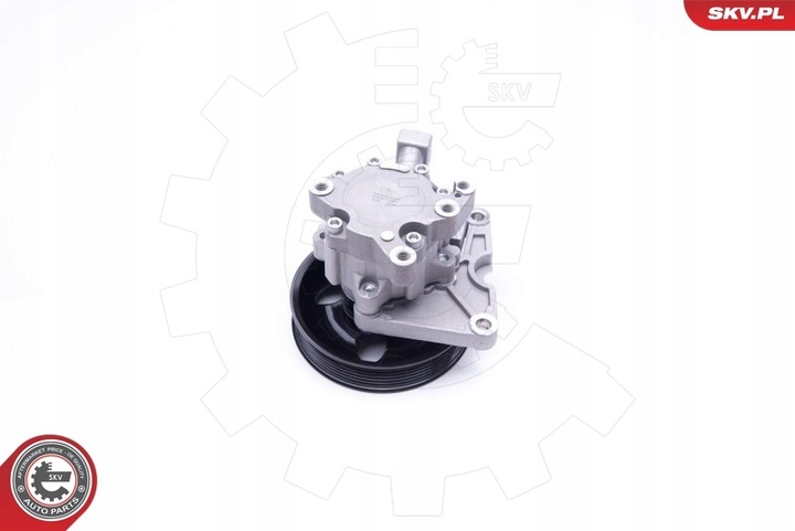 фото №9, Насос підсилювача 10skv192