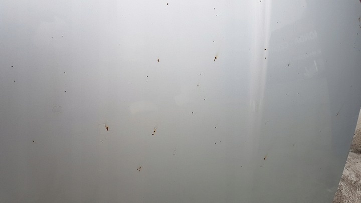 фото №2, Toyota auris 07-09 капот 1c0