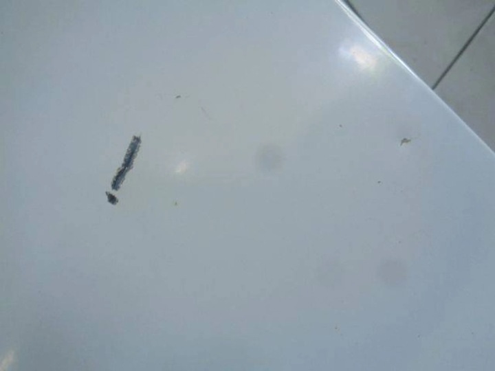 фото №12, Citroen jumper ii рестайлінг 13 двері праві зсувні h2