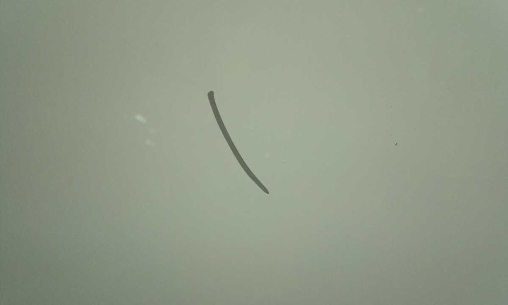 фото №6, Скло лобове mercedes e-klasa w213 2016- датчик камери