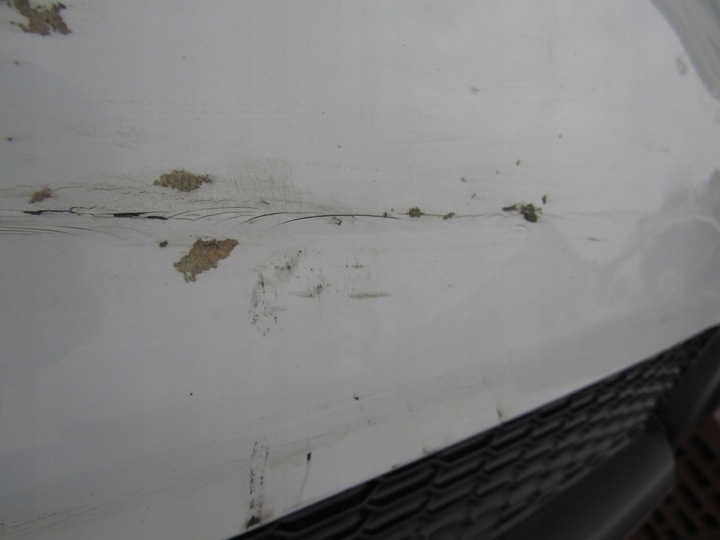 фото №8, Бампер audi tt 8s 14-18 зад pdc s-line