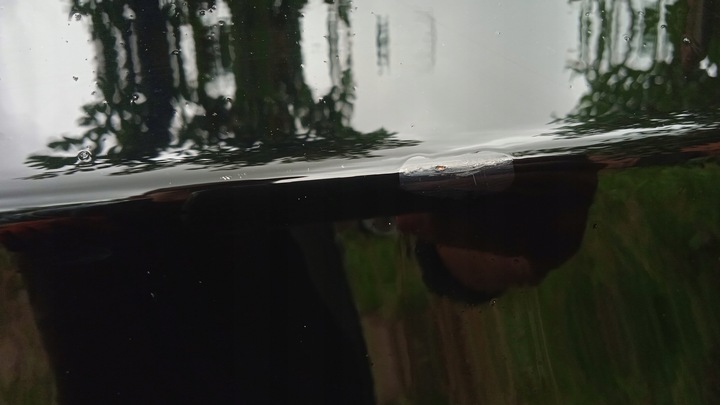 фото №13, Bmw e91 e90 двері перед праві 668/9 5d