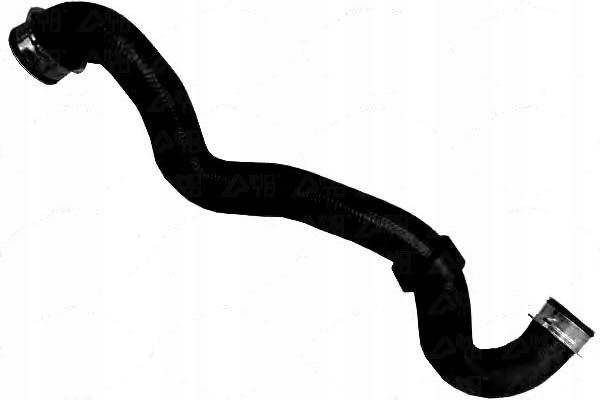 фото №2, Sasic шланг радиатор mercedes classe w203 02- g