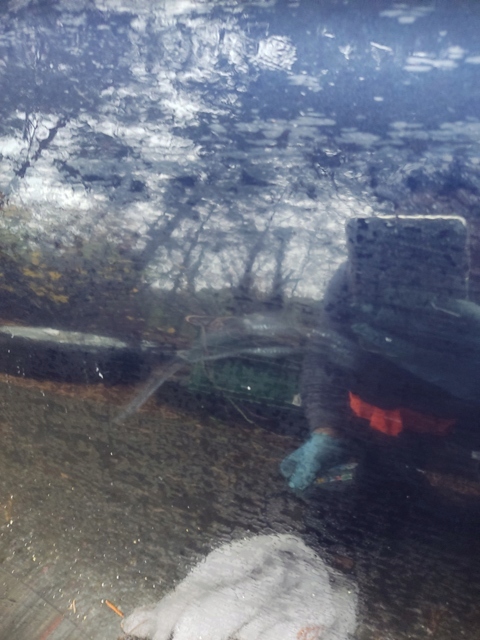 фото №7, Комплектні двері праві зад mercedes cls w219