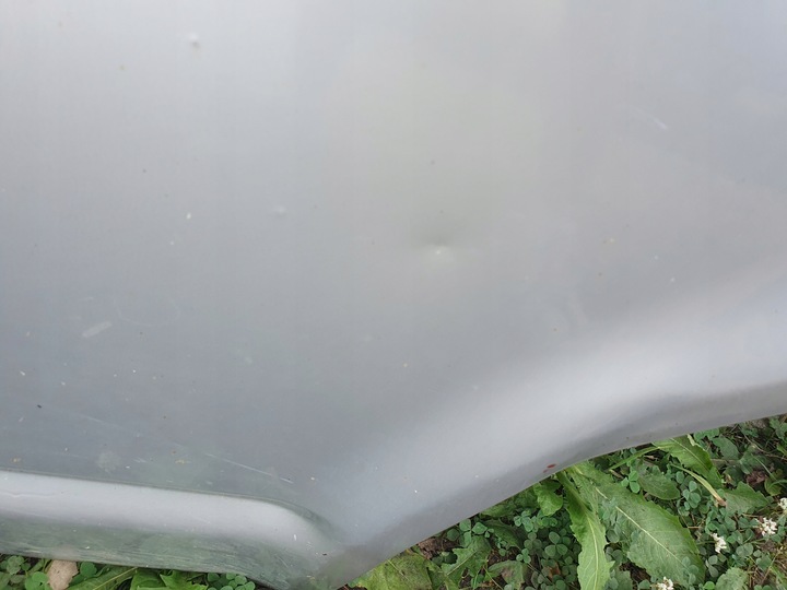 фото №5, Двері праві перед vw t5