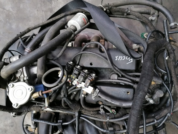 фото №7, Ford focus mk2 двигатель 1.6 16v 4m5g 6l084