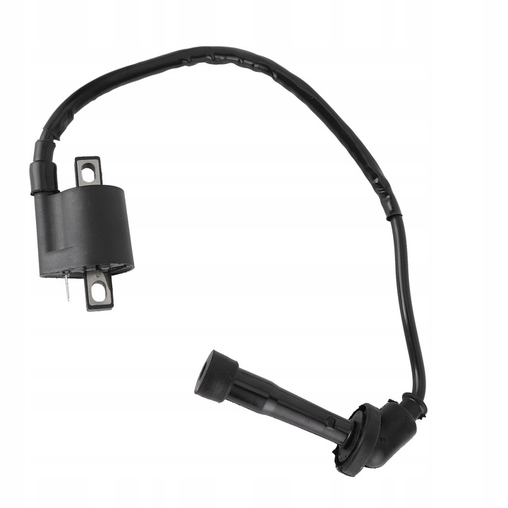 фото №10, Катушка зажигания подходит для yamaha grizzly 660