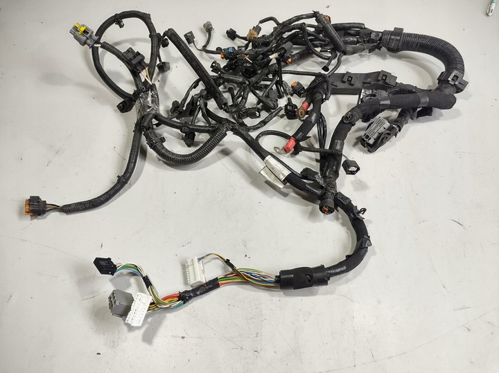 фото №1, Renault kadjar 16r- жгут двигателя 240113190r