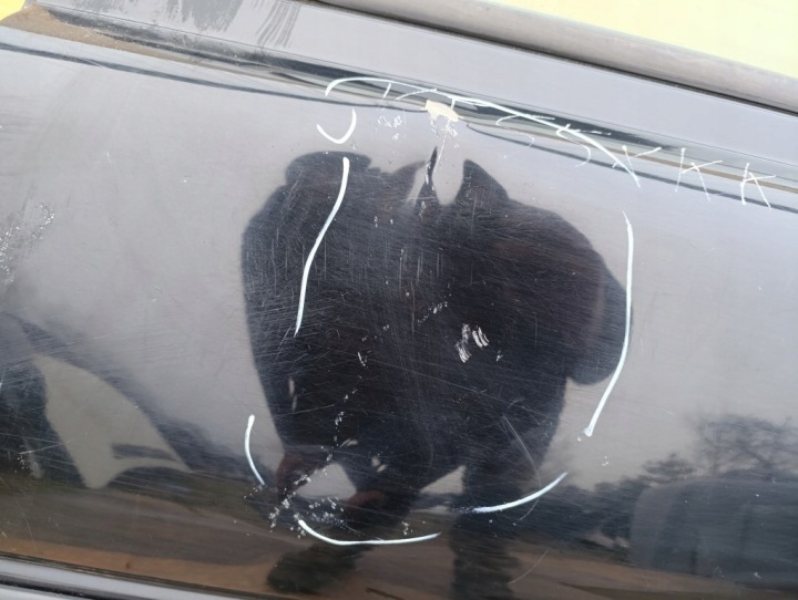 фото №8, Land rover freelander l314 рестайлінг двері зад ліве lrc921