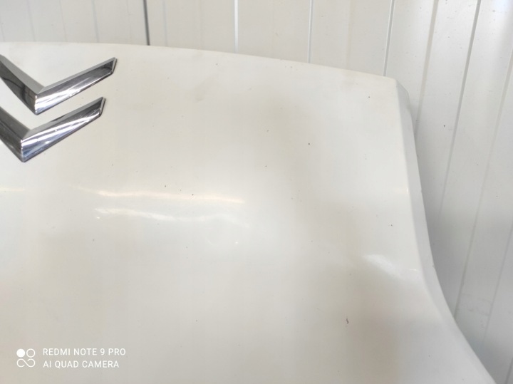 фото №8, Капот передня кришка двигуна citroen nemo 2007-2023 51789394 колір 249