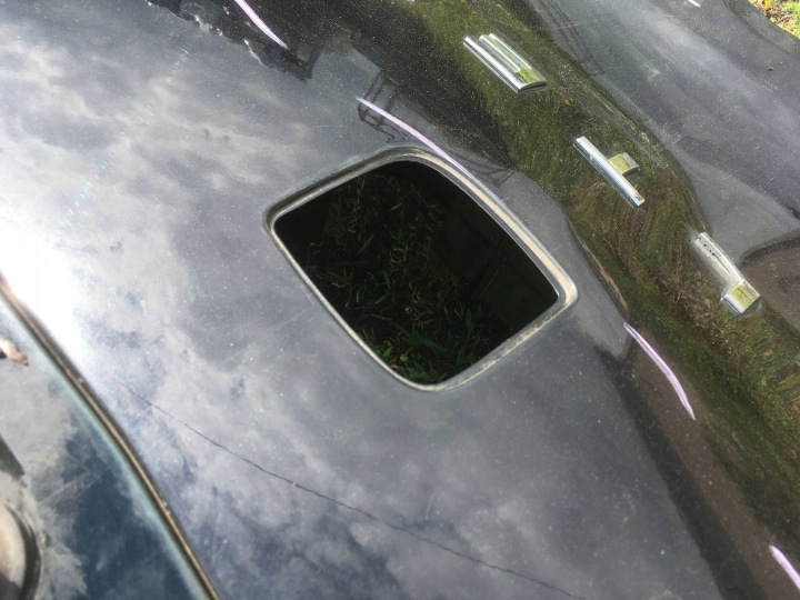 фото №10, Кришка зад seat altea 2012 колір lz9y