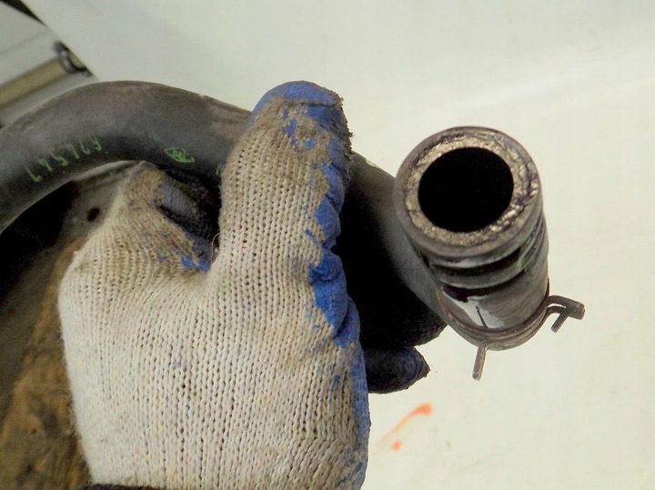 фото №5, Renault trafic ii 06r 1.9dci труба шланг шланг води