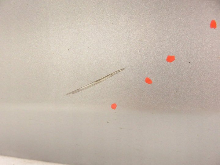 фото №7, Двері праві передні opel astra iv j sports tourer p10 z176