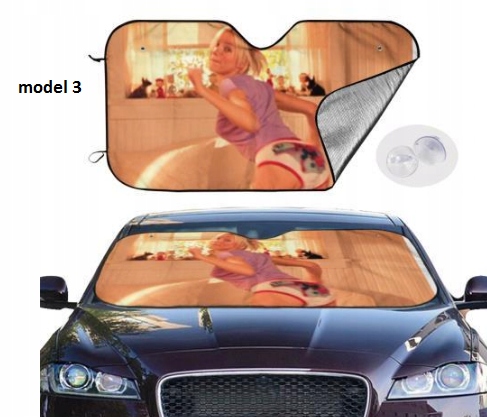 фото №6, Захист сонцезахисна do автомобіля палиці