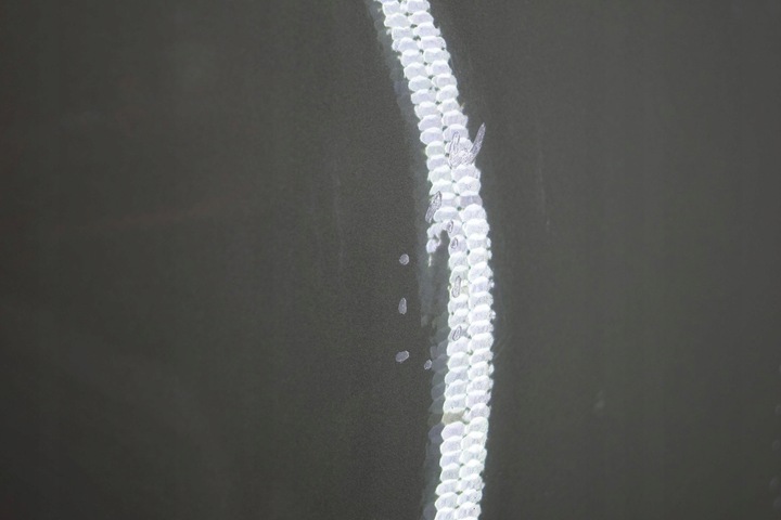 фото №11, Dacia logan ii mcv двері правий зад d1734