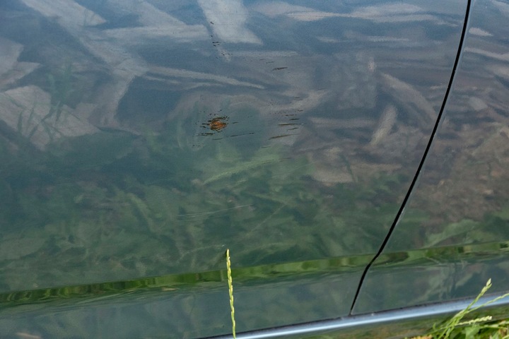 фото №5, Hyundai i40 двері зад задні праві універсал yu6