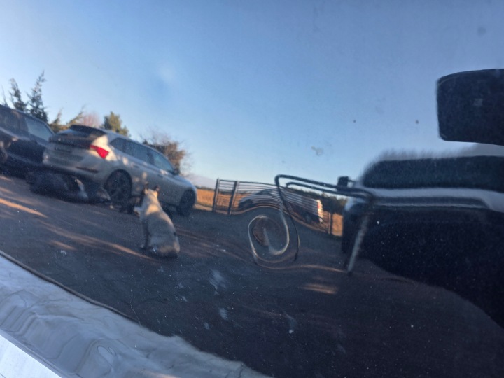 фото №7, Ssangyong rexton iv 4 2019- капот кришка двигуна