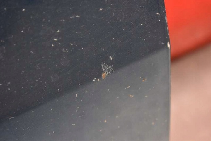 фото №11, Двері ліві перед передні morskie mazda 5 1 i cr 05-08