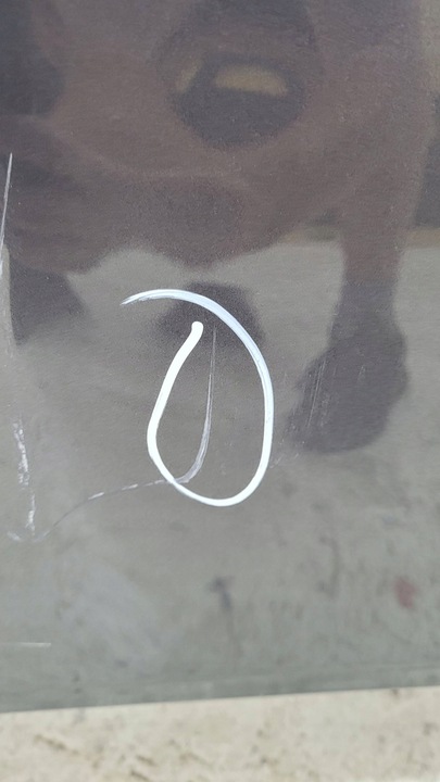 фото №6, Toyota highlander iv 4 19- капот крышка двигателя перед передняя fv