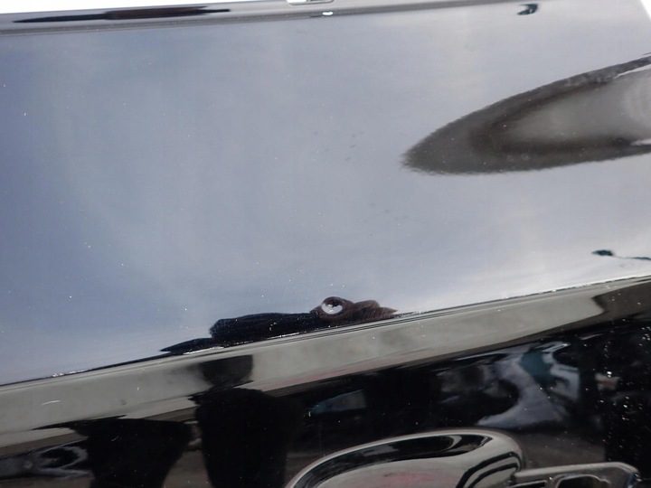 фото №13, Audi q5 ii 2 16- дверь зад задние левая