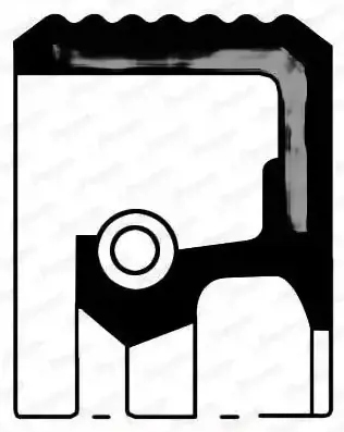 фото №1, Ущільнювальне кільце ущільнювач вала колінчастого nj284 payen