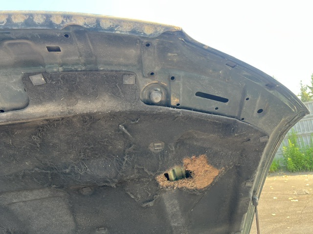 фото №8, Opel omega b крышка двигателя капот 94-99 4d z359