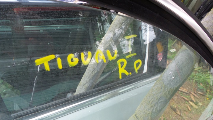 фото №10, Дверь правые передние tiguan i r-line белый идеальное состояние