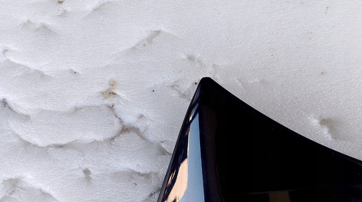 фото №14, Bmw 5 g30 g31 капот кришка двигуна гарна темно-синій металік