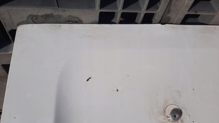 фото №3, Дверь зад задние левая renault traffic iii